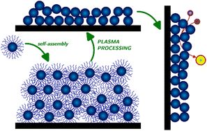 Graphical abstract: Plasma-based post-processing of colloidal nanocrystals for applications in heterogeneous catalysis