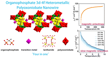 Graphical abstract: An organophosphate 3d–4f heterometallic polyoxoniobate nanowire