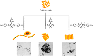 Graphical abstract: BODIPY directed one-dimensional self-assembly of gold nanorods