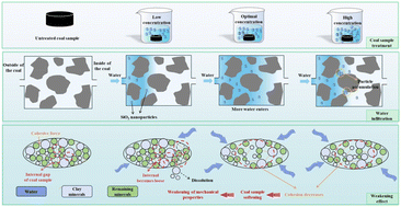 Graphical abstract: Effect of SiO2 nanofluid concentration on micro-mechanical weakening behavior of coal