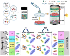 Graphical abstract: Synergistically enhancing interface stability with soft gel and garnet-type Li6.4La3Zr1.4Ta0.6O12 bi-functional composite electrolyte of lithium metal batteries