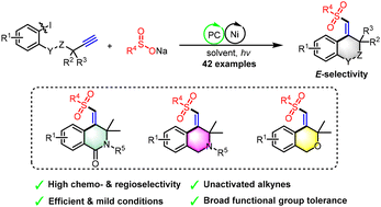 Graphical abstract: Stereocontrolled synthesis of heterocycles from unactivated alkynes by photoredox/nickel dual-catalyzed cyclization