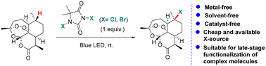 Graphical abstract: A catalyst- and solvent-free visible-light-promoted bromination and chlorination of tertiary C(sp3)–H bonds
