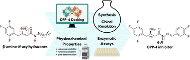 Graphical abstract: Stereochemical insights into β-amino-N-acylhydrazones and their impact on DPP-4 inhibition