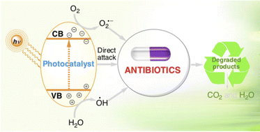 Graphical abstract: Light-driven photocatalysis as an effective tool for degradation of antibiotics