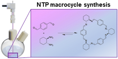 Graphical abstract: High-efficiency non-thermal plasma synthesis of imine macrocycles