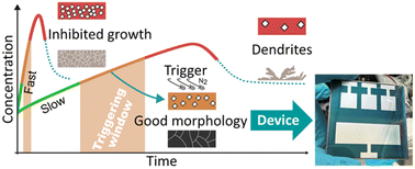 Graphical abstract: Printing of tin perovskite solar cells via controlled crystallization