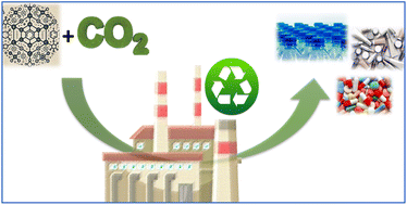Graphical abstract: Carboxylation reactions for the sustainable manufacture of chemicals and monomers