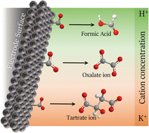 Graphical abstract: K+ selectivity modulation in non-aqueous CO2 electroreduction on lead catalysts: from oxalic to tartaric acid production