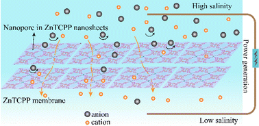 Graphical abstract: Self-assembled two-dimensional metal–organic framework membranes as nanofluidic osmotic power generators