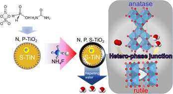 Graphical abstract: S-doped TiN supported N, P, S-tridoped TiO2 with hetero-phase junctions for fuel cell startup/shutdown durability