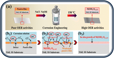 Graphical abstract: In situ growth of an active catalytic layer on commercial stainless steel via a hydrothermal-assisted corrosion process for efficient oxygen evolution reaction