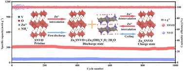 Graphical abstract: Defect engineering and morphology adjustment assist NH4V4O10 to be a high-performance aqueous zinc ion battery cathode