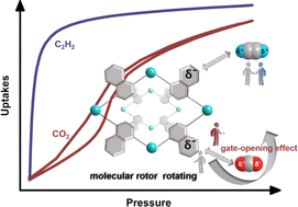 Graphical abstract: Regulation on C2H2/CO2 adsorption and separation by molecular rotors in metal–organic frameworks