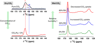 Graphical abstract: Discerning molecular-level CO2 adsorption behavior in amine-modified sorbents within a controlled CO2/H2O environment towards direct air capture