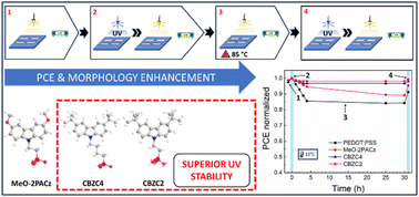 Graphical abstract: Understanding charge recombination and light-induced degradation: an in-depth study of tert-butyl modified carbazole-based self-assembled monolayers for enhanced performance in organic solar cells