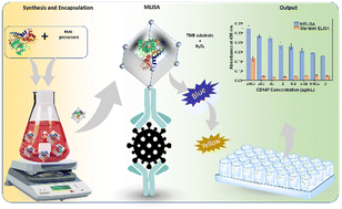 Graphical abstract: Metal–organic framework-interfaced ELISA probe enables ultrasensitive detection of extracellular vesicle biomarkers