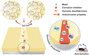 Graphical abstract: Self-healing, antibiofouling and anticorrosion properties enabled by designing polymers with dynamic covalent bonds and responsive linkages