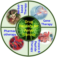 Graphical abstract: Advances in drug delivery-based therapeutic strategies for renal fibrosis treatment