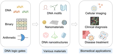 Graphical abstract: Advancements in DNA computing: exploring DNA logic systems and their biomedical applications