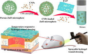 Graphical abstract: Sprayable, thermosensitive hydrogels for promoting wound healing based on hollow, porous and pH-sensitive ZnO microspheres