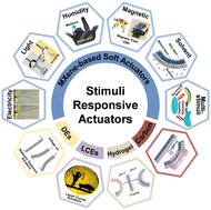 Graphical abstract: Stimuli responsive actuators: recent advances