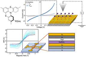 Graphical abstract: Spin polarized current in chiral organic radical monolayers