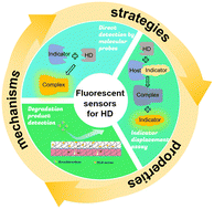 Graphical abstract: Recent advances in the development of fluorescent sensors for sulfur mustard detection
