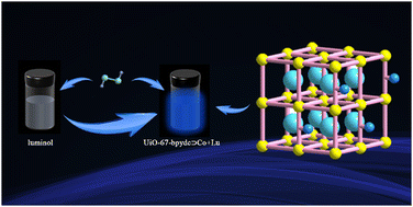 Graphical abstract: Encapsulation of luminol and Co2+ within a metal–organic framework for enhanced chemiluminescence and imaging of inflammation