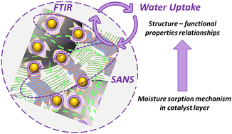 Graphical abstract: In situ investigation of moisture sorption mechanism in fuel cell catalyst layers
