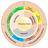 Graphical abstract: Recent progress of dual-responsive fluorescent probes for polarity and analytes