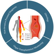 Graphical abstract: Breaking the double-stranded limitation: single-stranded cfDNA sequencing technology opens a new era in precision medicine