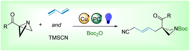 Graphical abstract: Rapid access to azetidines via allylation of azabicyclo[1.1.0]butanes by dual copper/photoredox catalysis