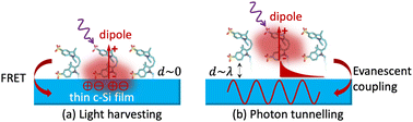 Graphical abstract: Photosensitised silicon solar cells: progress and challenges