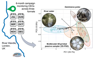 Graphical abstract: Multimodal 3D-printed passive samplers to monitor, model and prioritise in situ pharmaceutical and pesticide pollution risks to an aquatic freshwater invertebrate, Gammarus pulex