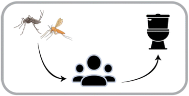 Graphical abstract: Charting the future of wastewater-based epidemiology for vector-borne diseases: opportunities, challenges, and climate-driven needs