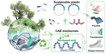 Graphical abstract: Upcycling waste polyamide into sustainable plastics by catalyst-free and solvent-free melt polycondensation