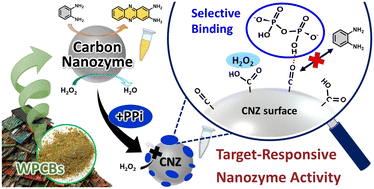 Graphical abstract: Deciphering target-binding selectivity of waste printed circuit board-derived carbon nanozymes for pyrophosphate sensing