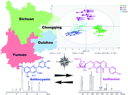 Graphical abstract: Metabolite profiling of isoflavones and anthocyanins in black soybean [Glycine max (L.) Merr.] seeds by HPLC-MS and geographical differentiation analysis in Southwest China