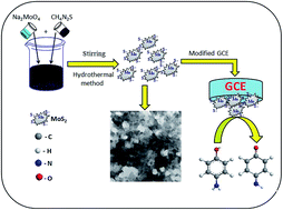 Graphical abstract: Novel hydrothermal synthesis of MoS2 nanocluster structure for sensitive electrochemical detection of human and environmental hazardous pollutant 4-aminophenol