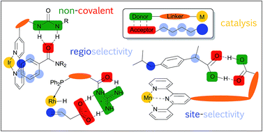 Graphical abstract: Harnessing non-covalent interactions to exert control over regioselectivity and site-selectivity in catalytic reactions