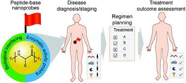 Graphical abstract: Peptide-based nanoprobes for molecular imaging and disease diagnostics