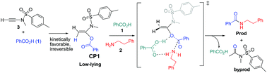 Graphical abstract: A computational study on the mechanism of ynamide-mediated amide bond formation from carboxylic acids and amines
