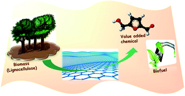 Graphical abstract: Graphene and graphene-like materials in biomass conversion: paving the way to the future