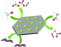 Graphical abstract: Gold nanocatalysts supported on carbon for electrocatalytic oxidation of organic molecules including guanines in DNA
