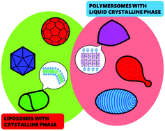 Graphical abstract: Physical stimuli-responsive liposomes and polymersomes as drug delivery vehicles based on phase transitions in the membrane