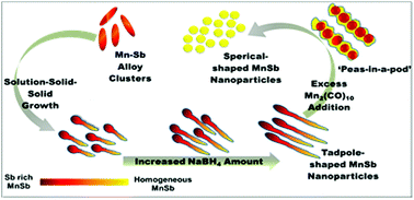 Graphical abstract: Anisotropic manganese antimonide nanoparticle formation by solution–solid–solid growth mechanism: consequence of sodium borohydride addition towards reduced surface oxidation and enhanced magnetic moment