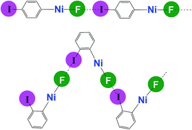 Graphical abstract: Self-complementary nickel halides enable multifaceted comparisons of intermolecular halogen bonds: fluoride ligands vs. other halides