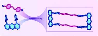 Graphical abstract: [2+2] Halogen-bonded boxes employing azobenzenes