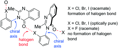 Graphical abstract: Chirality-dependent halogen bonds in axially chiral quinazolin-4-one derivatives bearing ortho-halophenyl groups